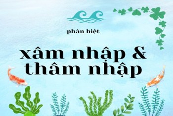 Thâm nhập và xâm nhập khác nhau như thế nào?