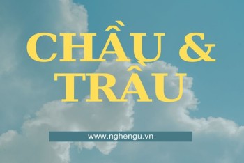 Cách phân biệt chầu hay trầu chi tiết theo từng ngữ cảnh