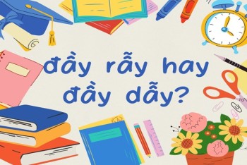 Đầy rẫy hay đầy dẫy đúng chính tả? Phân biệt rẫy hay dẫy