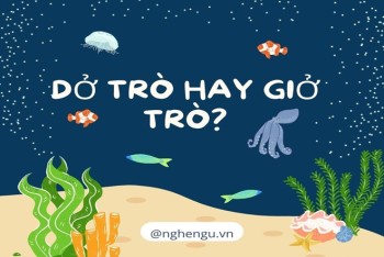 Viết dở trò hay giở trò mới đúng chính tả tiếng Việt?