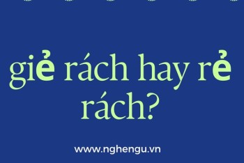 Giẻ rách hay rẻ rách viết đúng? Vì sao nhiều người nhầm lẫn?