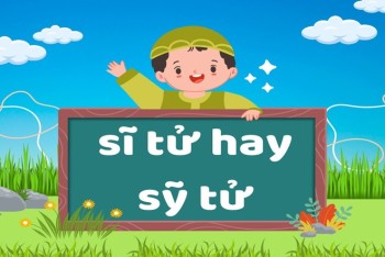 Viết sĩ tử hay sỹ tử, tu sĩ hay tu sỹ phù hợp hơn?