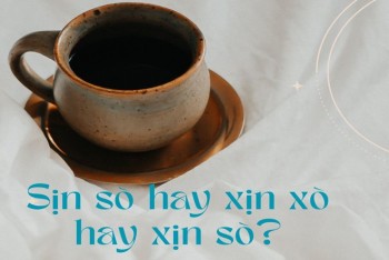 Sịn sò hay xịn xò hay xịn sò mới là từ viết đúng chính tả?