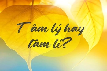 Viết tâm lý hay tâm lí? Nên viết i ngắn hay y dài hay hơn?