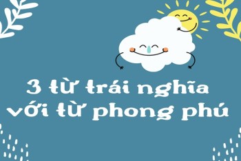 Từ trái nghĩa với phong phú đa dạng là từ gì?