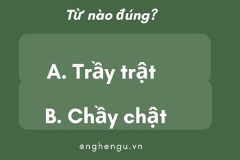 Viết trầy trật hay chầy chật đúng? Vì sao nhiều người viết sai?