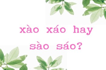 Xào xáo hay sào sáo đúng? Nghĩa và cách dùng phù hợp