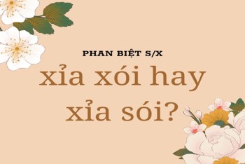 Xỉa xói hay xỉa sói viết đúng? Phân biệt xói và sói chi tiết