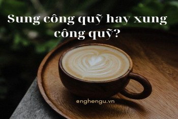 Viết xung công quỹ hay sung công quỹ mới đúng?