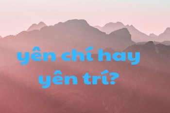 Viết yên chí hay yên trí mới đúng chính tả?