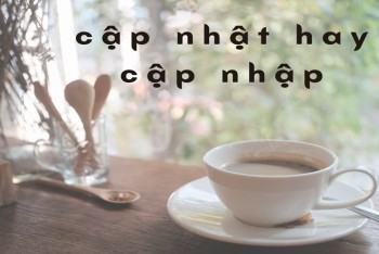 Cập nhật hay cập nhập đúng? Vì sao nhiều người viết sai?