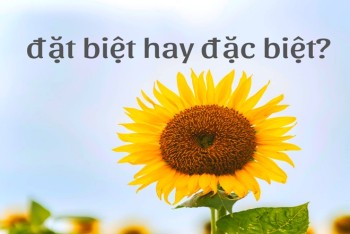 Đặt biệt hay đặc biệt đúng? Phân biệt đặt hay đặc