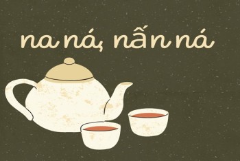 Viết la lá hay na ná, lấn lá hay nấn ná đúng chính tả?