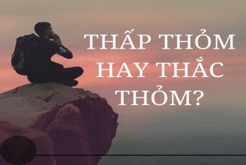 Viết thắc thỏm hay thấp thỏm đúng? Nên dùng từ nào?