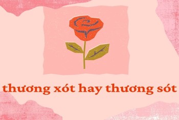 Thương xót hay thương sót viết đúng? Mẹo phân biệt xót và sót