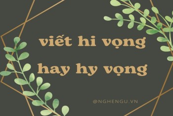 Viết hy vọng hay hi vọng? Nên dùng i ngắn hay y dài?