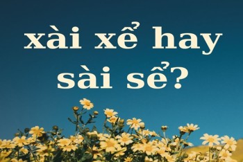 Xài xể hay sài sể hay sài xể đúng? Nghĩa của từ này là gì?