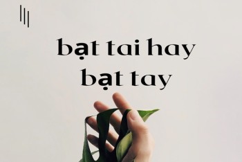 Viết bạt tai hay bạt tay? Nghĩa cụ thể là gì?