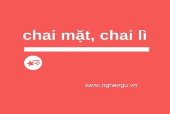 Chai mặt hay trai mặt? Chai lì hay trai lì​ đúng chính tả?