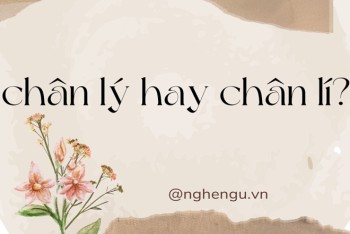 Viết chân lý hay chân lí hay hơn? Nên dùng i ngắn hay y dài?