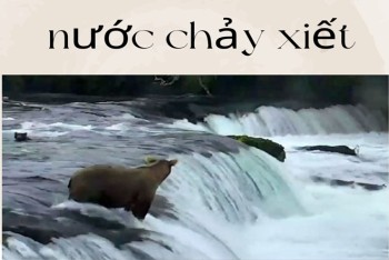 Nước chảy xiết hay chảy siết mới đúng chính tả?