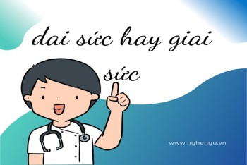 Viết dai sức hay giai sức? Thịt dai hay giai mới đúng?