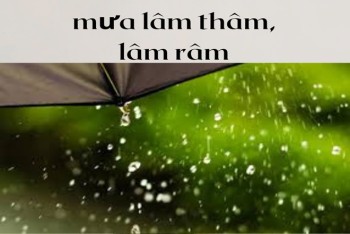 Viết mưa lăm răm hay lâm râm hay lâm thâm mới đúng?