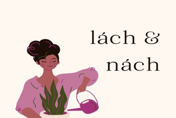 Nách hay lách? Cửa lách hay cửa nách? Nách luật hay lách luật?