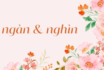 Viết ngàn hay nghìn? Ngàn năm hay nghìn năm? Một ngàn hay một nghìn?