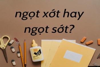 Ngọt xớt hay ngọt sớt đúng? Phân biệt xớt hay sớt