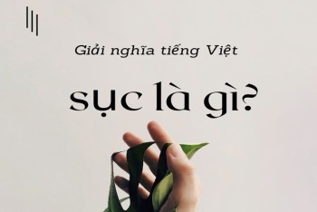 Sục là gì trên Facebook? Nên hiểu nghĩa sao cho đúng?