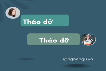 Viết tháo dở hay tháo dỡ? Dở nhà hay dỡ nhà đúng?