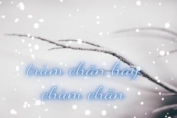 Viết trùm chăn hay chùm chăn? Trùm mền hay chùm mền​?