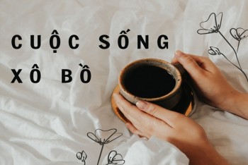 Cuộc sống xô bồ hay sô bồ? Nghĩa cụ thể là gì?