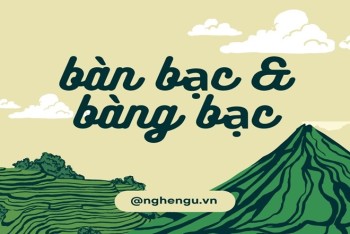 Bàn bạc hay bàng bạc khác nhau như thế nào?