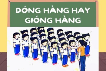 Dóng hàng hay gióng hàng? Khi nào viết gióng hay dóng?