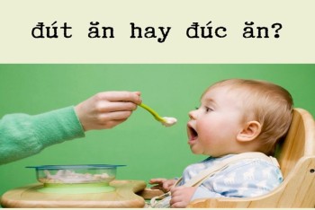 Đúc ăn hay đút ăn? Đúc kết hay đút kết? Đúc lò hay đút lò?