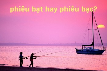 Viết phiêu bạt hay phiêu bạc đúng? Nên dùng từ nào phù hợp?