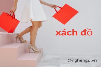 Viết sách đồ hay xách đồ, xách túi hay sách túi đúng?