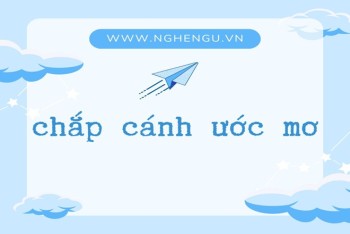 Viết chấp cánh hay chắp cánh mới đúng chính tả tiếng Việt?