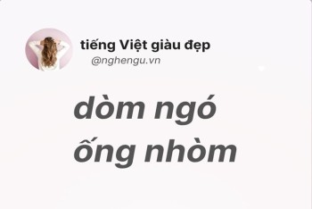Dòm ngó hay nhòm ngó, ống nhòm hay ống dòm đúng chính tả?