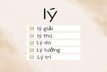 Viết lí giải hay lý giải? Lí thú hay lý thú sẽ phù hợp hơn?