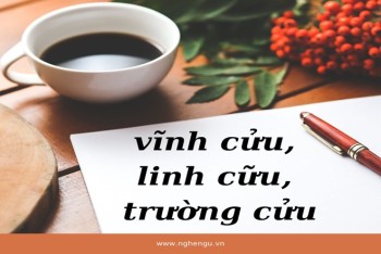 Viết linh cửu hay linh cữu​, vĩnh cữu hay vĩnh cửu đúng?