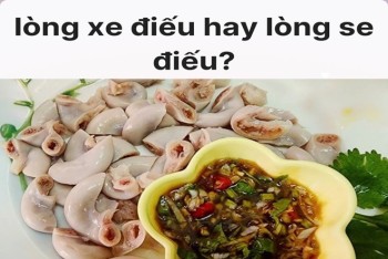 Viết/gọi là lòng xe điếu hay se điếu mới đúng chính tả?