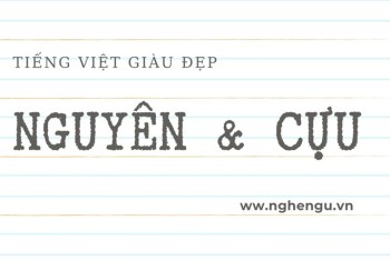 Nguyên và cựu khác nhau như thế nào? Cách dùng đúng nhất