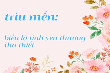 Viết trìu mến hay triều mến hay trừu mến, chìu mến?