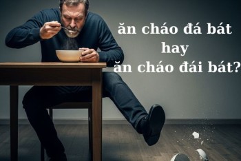 Thành ngữ ăn cháo đá bát hay ăn cháo đái bát mới đúng?