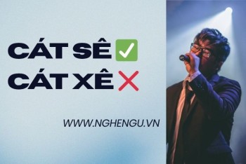Viết cát xê hay cát sê mới đúng? Mẹo phân biệt xê và sê