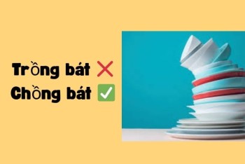 Viết chồng bát hay trồng bát, chồng hàng hay trồng hàng đúng?