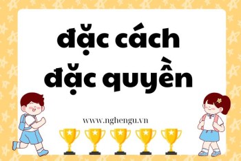 Viết đặt cách hay đặc cách? Đặt quyền hay đặc quyền?